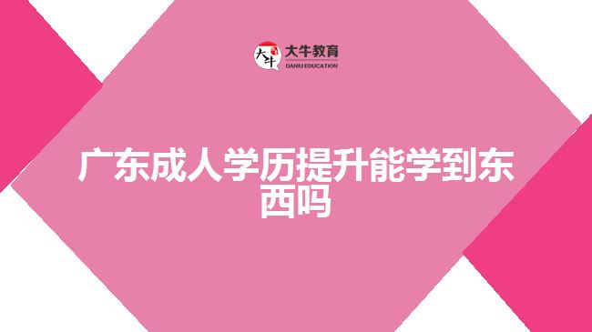 廣東成人學歷提升能學到東西嗎