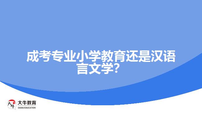 成考專業(yè)小學(xué)教育還是漢語言文學(xué)？