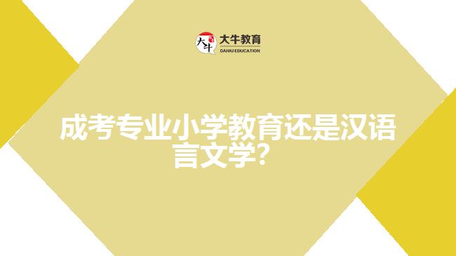 成考小學(xué)教育還是漢語(yǔ)言文學(xué)？