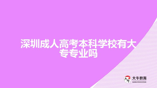 深圳成人高考本科學(xué)校有大專專業(yè)嗎