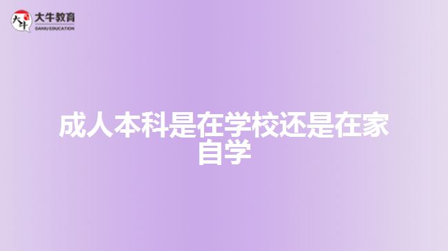 成人本科是在學(xué)校還是在家自學(xué)