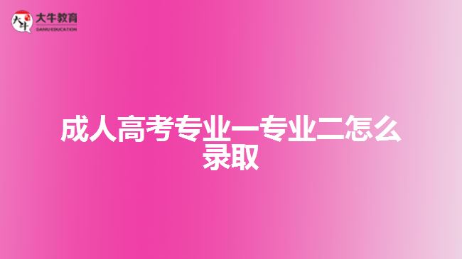 成人高考專業(yè)一專業(yè)二怎么錄取