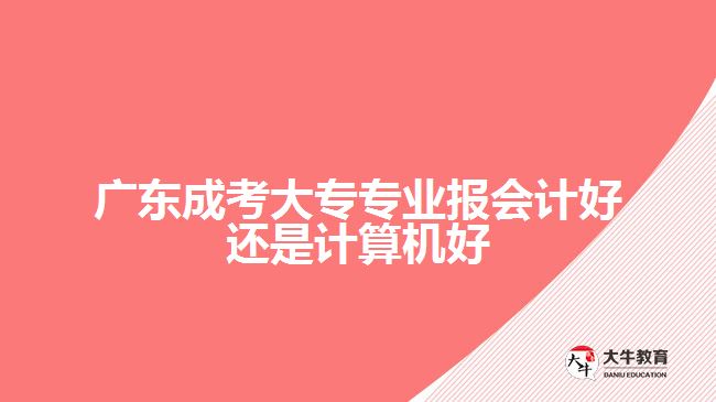 廣東成考大專專業(yè)報會計好還是計算機好