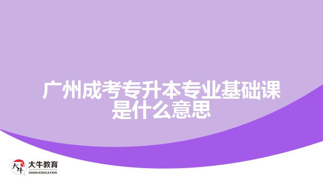 廣州成考專(zhuān)升本專(zhuān)業(yè)基礎(chǔ)課是什么意思