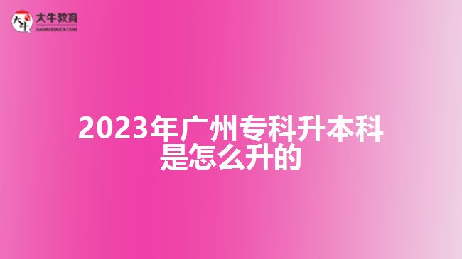 2023年廣州?？粕究剖窃趺瓷? width='170' height='105'/></a></dt>
						<dd><a href=