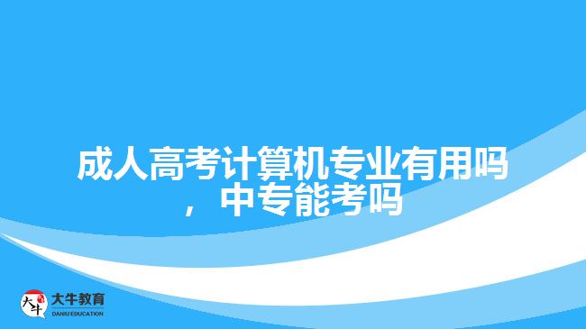 成考計(jì)算機(jī)專業(yè)有用嗎，中專能考嗎