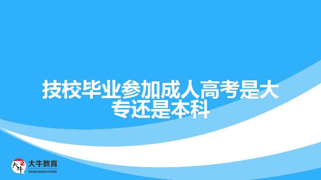 技校畢業(yè)參加成人高考是大專還是本科