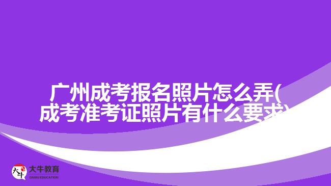 廣州成考報名照片怎么弄(成考準考證照片有什么要求)