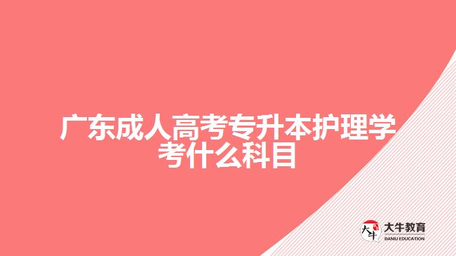 廣東成人高考專升本護(hù)理學(xué)考什么科目