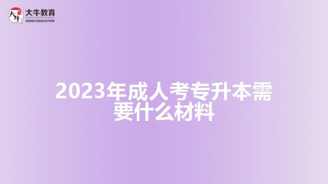 2023年成人考專升本需要什么材料