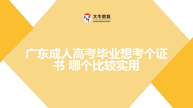 廣東成人高考畢業(yè)想考個(gè)證書(shū) 哪個(gè)比較實(shí)用