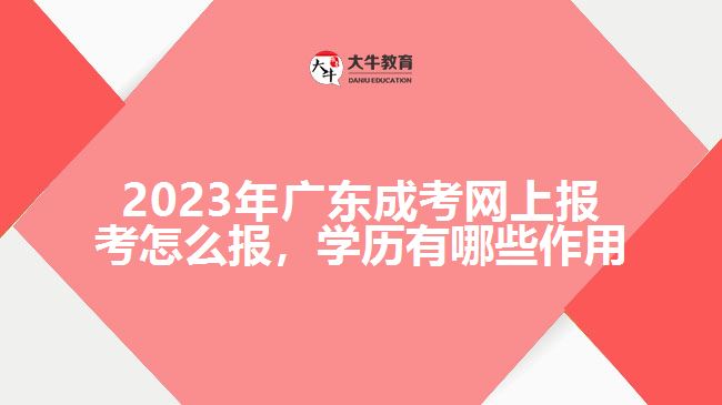 2023年廣東成考網(wǎng)上報考怎么報，學(xué)歷有哪些作用