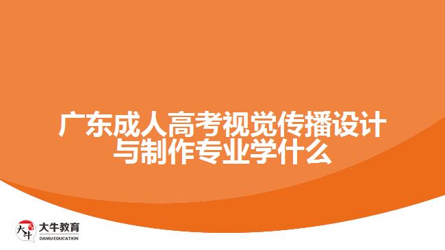 廣東成人高考視覺傳播設(shè)計(jì)與制作專業(yè)學(xué)什么