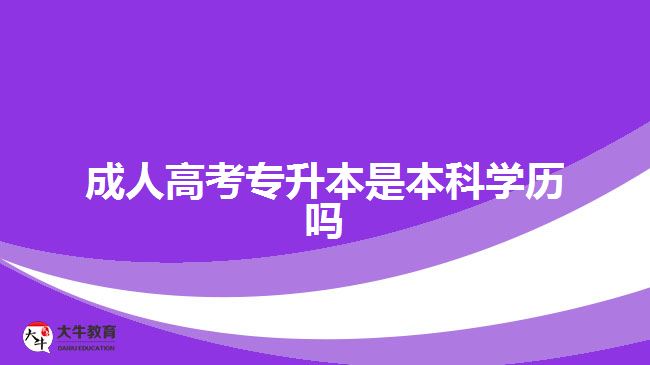 成人高考專升本是本科學歷嗎