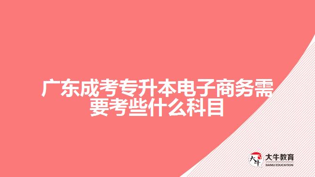 廣東成考專升本電子商務(wù)需要考些什么科目