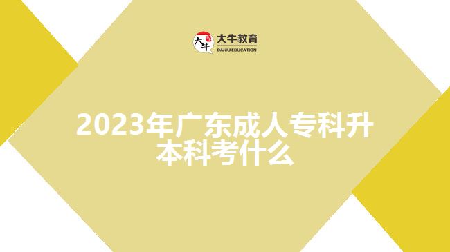 2023年廣東成人?？粕究瓶际裁? width='170' height='105'/></a></dt>
						<dd><a href=