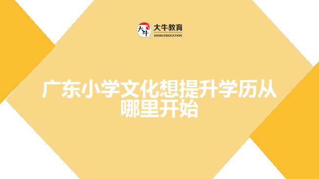 廣東小學(xué)文化想提升學(xué)歷從哪里開(kāi)始