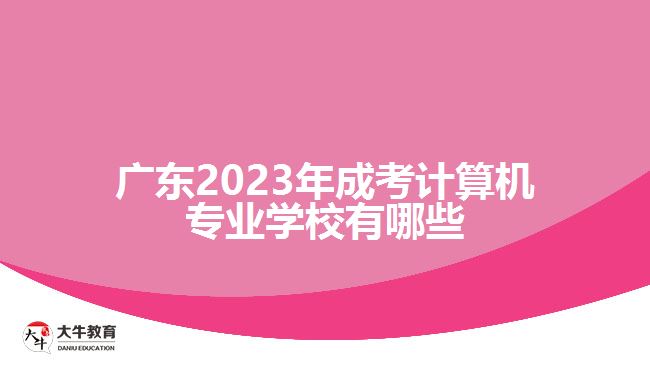 廣東2023年成考計(jì)算機(jī)專(zhuān)業(yè)學(xué)校有哪些