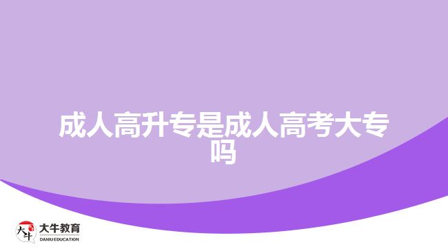 成人高升專是成人高考大專嗎