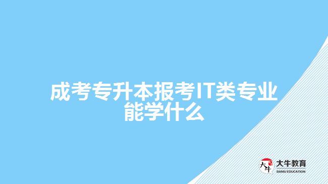 成考專升本報考IT類專業(yè)能學(xué)什么