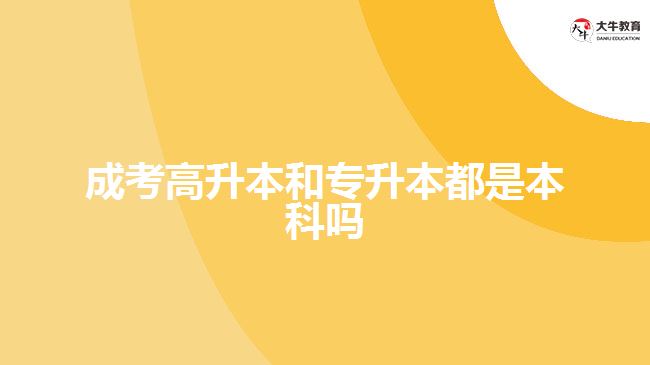 成考高升本和專升本都是本科嗎