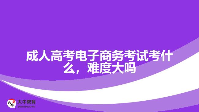 成人高考電子商務考試考什么難度大嗎