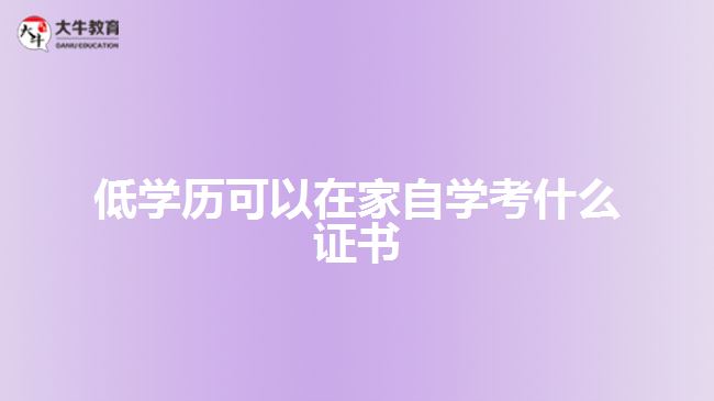 低學(xué)歷可以在家自學(xué)考什么證書