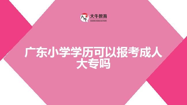 廣東小學學歷可以報考成人大專嗎