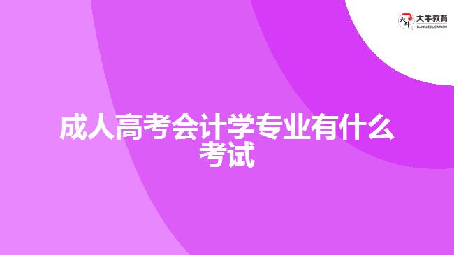 成人高考會(huì)計(jì)學(xué)專業(yè)有什么考試