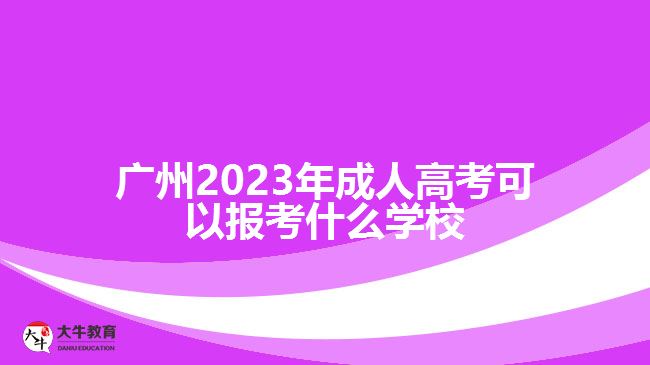 2023年成人高考可以報(bào)考什么學(xué)校