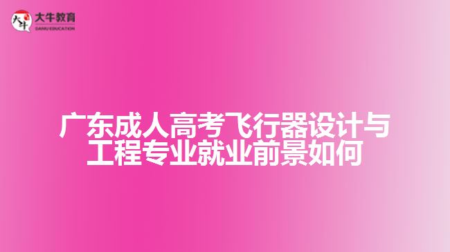 廣東成人高考飛行器設計與工程專業(yè)就業(yè)前景如何