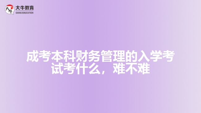 成考本科財務(wù)管理的入學(xué)考試考什么