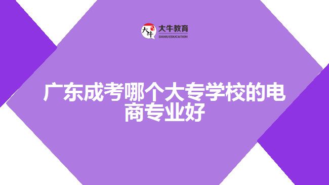 廣東成考哪個(gè)大專學(xué)校的電商專業(yè)好