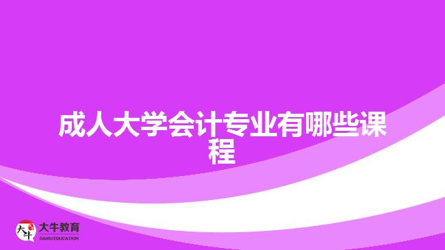 成人大學(xué)會(huì)計(jì)專業(yè)有哪些課程