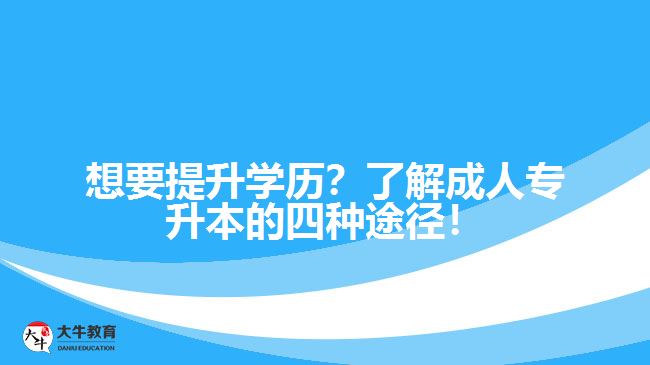 想要提升學歷？了解成人專升本的四種途徑！