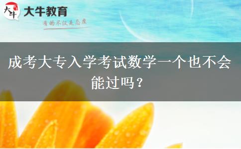 成考大專入學(xué)考試數(shù)學(xué)一個(gè)也不會(huì)能過(guò)嗎？