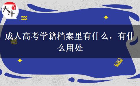 成人高考學(xué)籍檔案里有什么，有什么用處