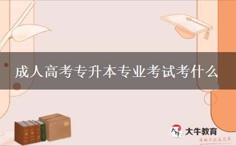 成人高考專升本專業(yè)考試考什么