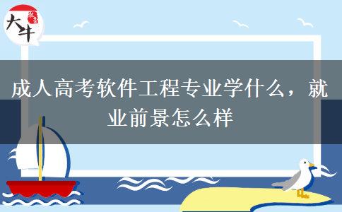 成人高考軟件工程專業(yè)學(xué)什么，就業(yè)前景怎么樣