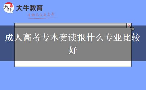 成人高考專本套讀報(bào)什么專業(yè)比較好