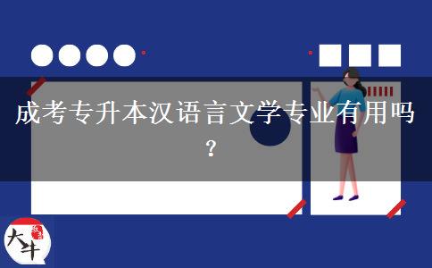 成考專升本漢語言文學(xué)專業(yè)有用嗎？