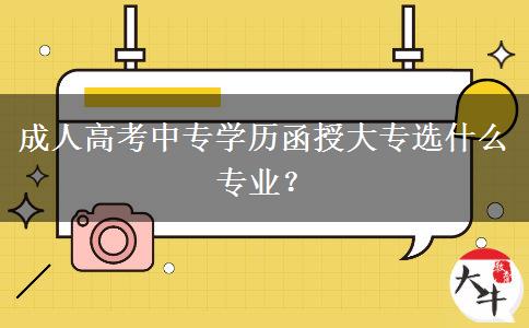 成人高考中專(zhuān)學(xué)歷函授大專(zhuān)選什么專(zhuān)業(yè)？