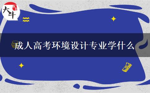 成人高考環(huán)境設(shè)計專業(yè)學(xué)什么