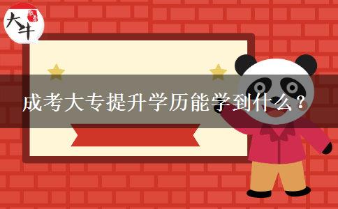 成考大專提升學(xué)歷能學(xué)到什么？