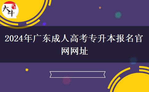 2024年廣東成人高考專升本報名官網網址