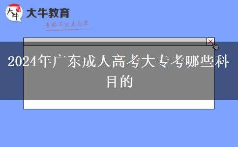 2024年廣東成人高考大?？寄男┛颇康? title=