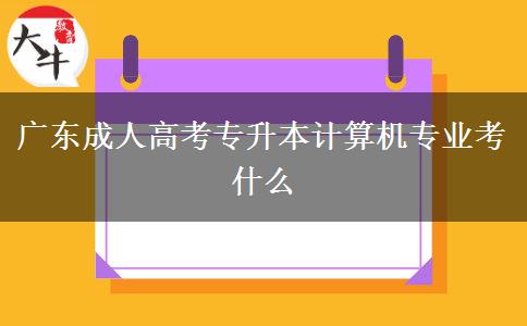 廣東成人高考專升本計(jì)算機(jī)專業(yè)考什么