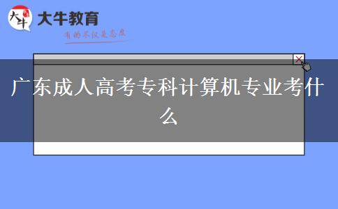 廣東成人高考?？朴嬎銠C專業(yè)考什么