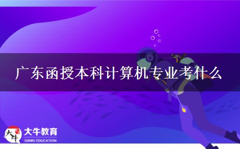 廣東函授本科計算機專業(yè)考什么