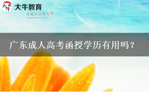 廣東成人高考函授學(xué)歷有用嗎？